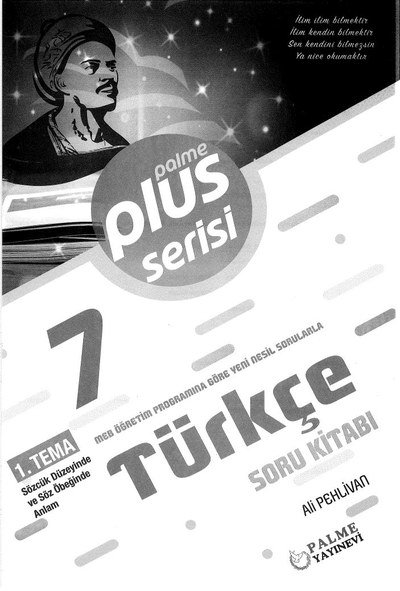 PLUS SERİSİ TÜRKÇE SORU KİTABI Vivo Fotokopi Merkezi
