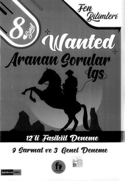WANTED ARANAN SORULAR LGS 12'Lİ FASİKÜL DENEME Vivo Fotokopi Merkezi