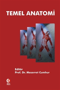 Temel Anatomi ODTÜ Yayıncılık Akademi Vivo Fotokopi Merkezi