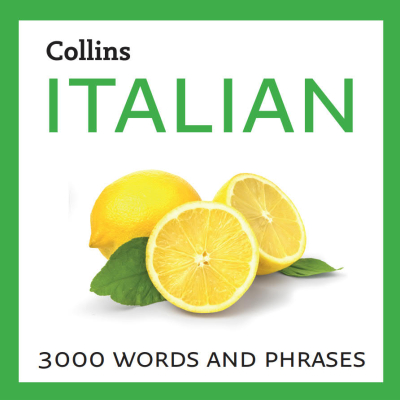 Learn Italian: 3000 essential words and phrases Vivo Fotokopi Merkezi