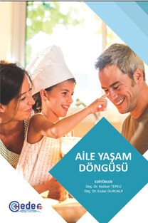 Aile Yaşam Döngüsü Hedef Yayınları Vivo Fotokopi Merkezi