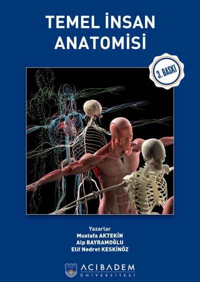 Temel İnsan Anatomisi Acıbadem Üniversitesi Vivo Fotokopi Merkezi