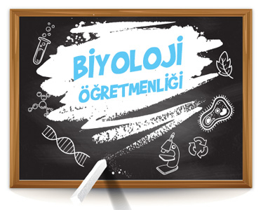 Biyoloji Öğretmenliği Vivo Fotokopi Merkezi